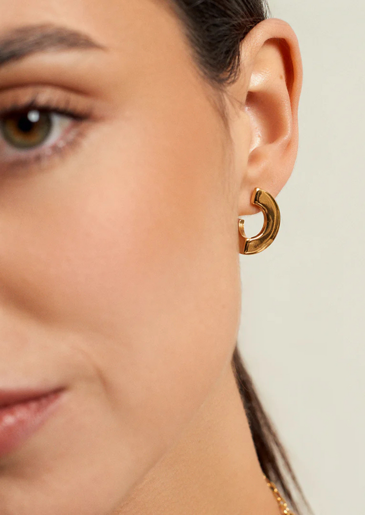 Dolce earrings