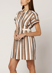 Sable Mini Dress
