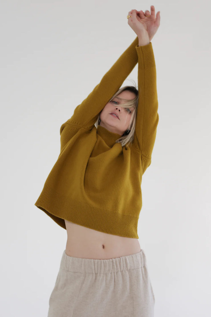 Wool Turtleneck Sweater