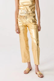 Astro Metallic Pant