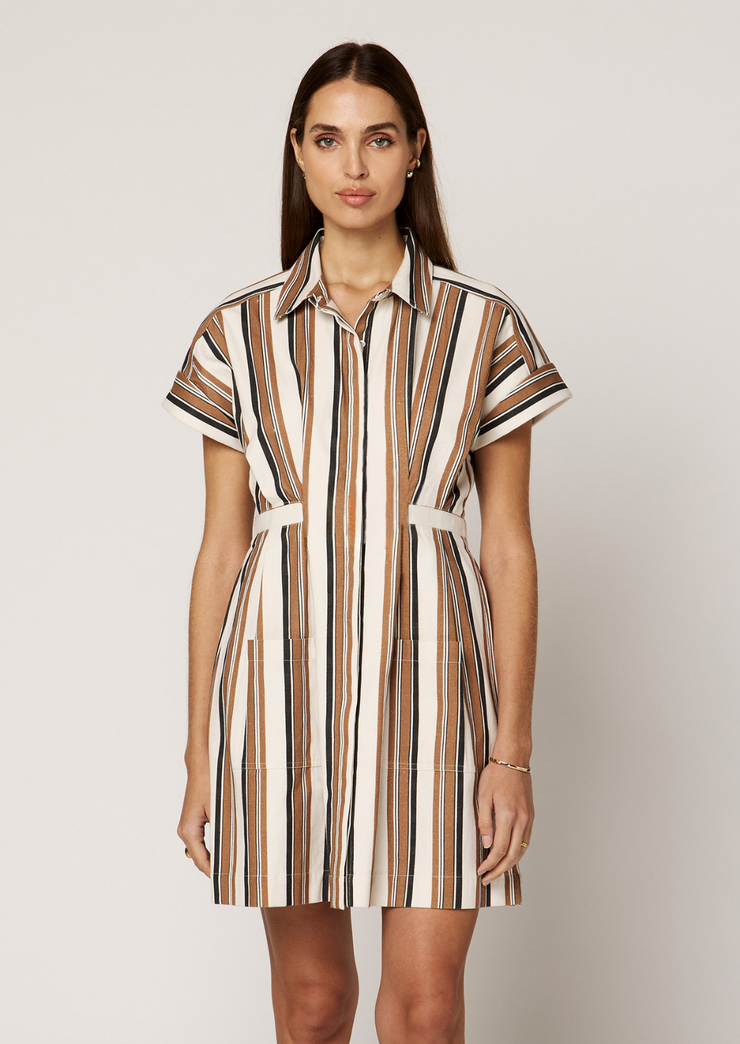 Sable Mini Dress
